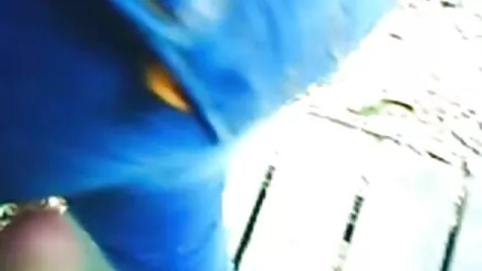 Amatör döküm Fransız Milf azeri cep porno indir anal