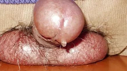 delik azeri porno seks 4