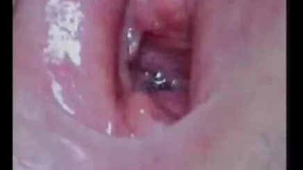 Kral azeri seks video indir karısı